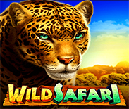 Wild Safari